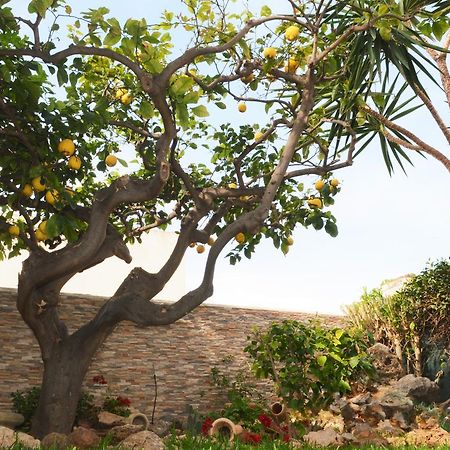 Bed and Breakfast Kimos à San Vito Lo Capo Extérieur photo