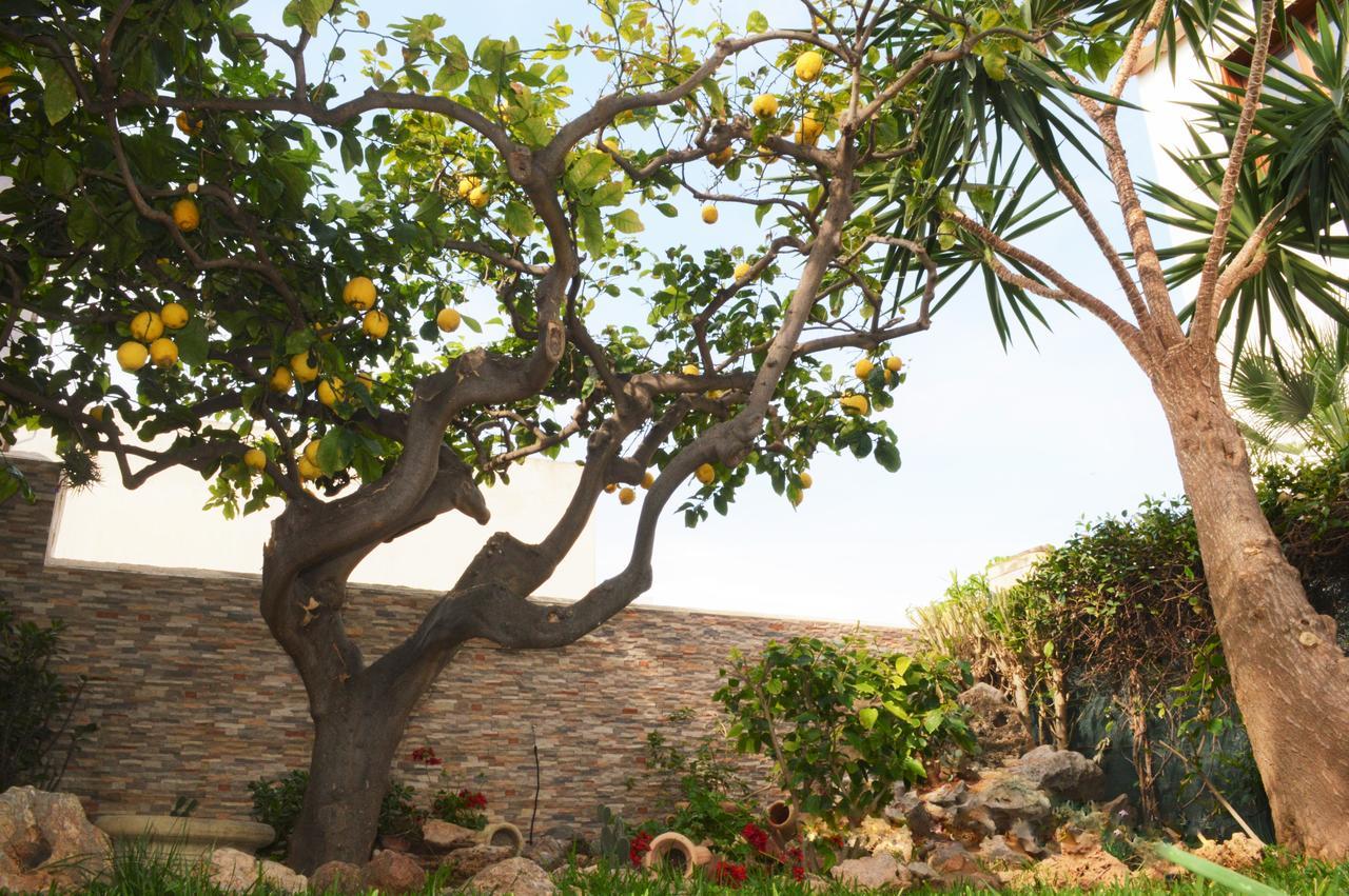 Bed and Breakfast Kimos à San Vito Lo Capo Extérieur photo