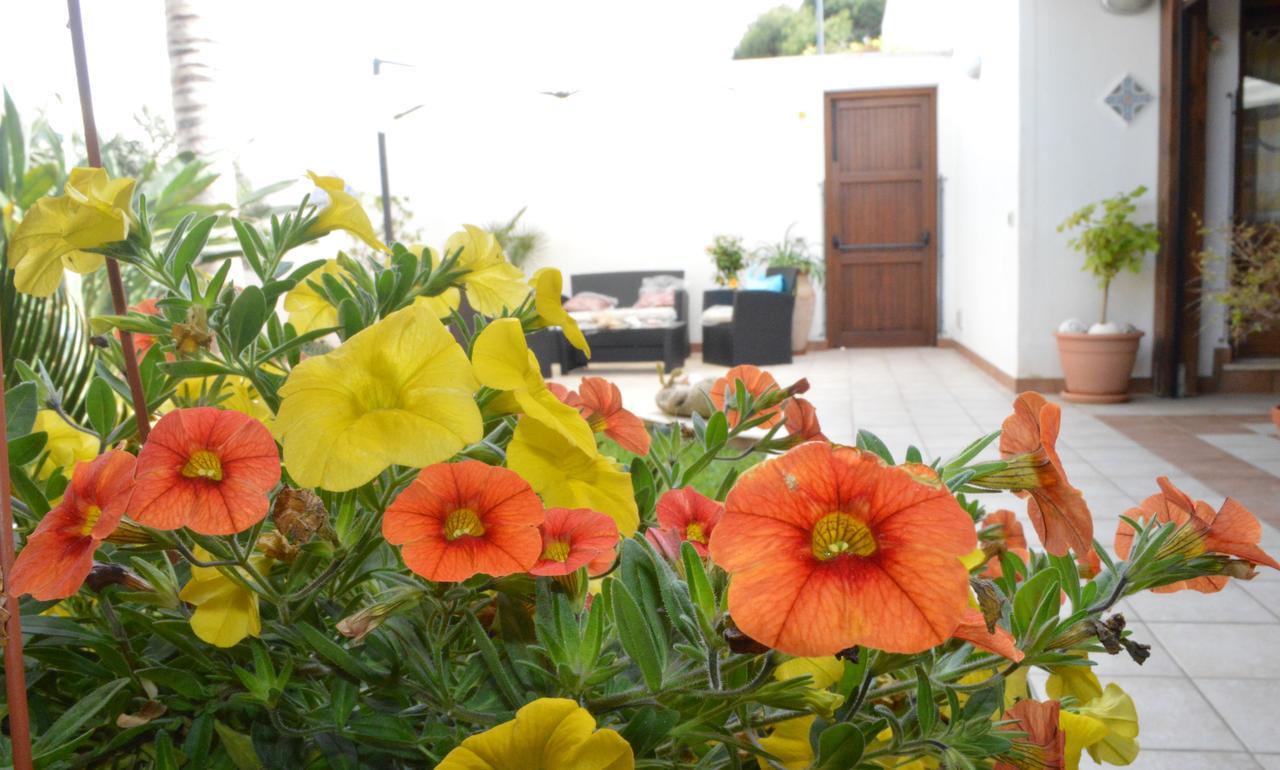 Bed and Breakfast Kimos à San Vito Lo Capo Extérieur photo